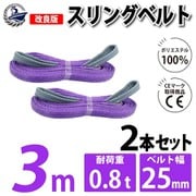 sb-25mm-3m-2p [2本セット スリングベルト 25mm 3m 使用荷重 800kg 高品質 ナイロンスリング ベルトスリング 吊具 長さ3m]