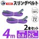 sb-25mm-4m-2p [2本セット スリングベルト 25mm 4m 使用荷重 800kg 高品質 ナイロンスリング ベルトスリング 吊具 長さ4m]
