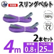 sb-25mm-4m-2p [2本セット スリングベルト 25mm 4m 使用荷重 800kg 高品質 ナイロンスリング ベルトスリング 吊具 長さ4m]