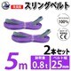 sb-25mm-5m-2p [2本セット スリングベルト 25mm 5m 使用荷重 800kg 高品質 ナイロンスリング ベルトスリング 長さ5m 吊具 長さ5m]