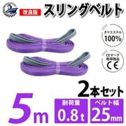 sb-25mm-5m-2p [2本セット スリングベルト 25mm 5m 使用荷重 800kg 高品質 ナイロンスリング ベルトスリング 長さ5m 吊具 長さ5m]