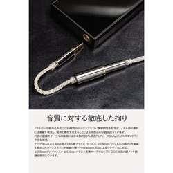 ヨドバシ.com - ヌアール NUARL HDSSハイレゾイヤホン NOE-SV