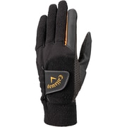 GL CG WNTR HYPER HEAT BLK M FW 23 JM [グローブ メンズ 両手用 M（23-24cm） ブラック]