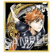 ハイキュー！！ 激闘！！煌めき色紙 日向翔陽 [キャラクターグッズ]
