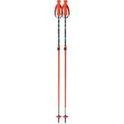 RD CARBON VARIO OZ38223 90-120cm 2本セット [スキーストック]