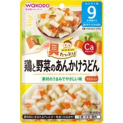 具たっぷりグーグーキッチン 鶏と野菜のあんかけうどん [対象月齢：9か月頃から]