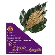 金の荒神松S　金の松