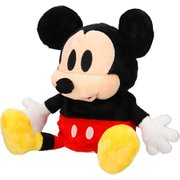 VV5PNA19 [999 999 Disney Mickey Dr Cover]