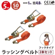rb-hk-1005-2p [2本セット ラッシングベルト フック 幅50mm 固定側1m 巻側5m 幅50mm]