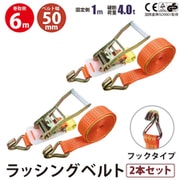 rb-hk-1006-2p [2本セット ラッシングベルト フック 幅50mm 固定側1m 巻側6m 幅50mm]