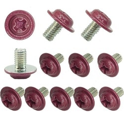 ワッシャーヘッドネジ ミリ M3-5 12個入 ワインレッド SN-012WR