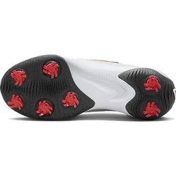 NIKE GOLF ナイキゴルフ DX9028-002 ゴルフシューズ ビクトリー プロ 3  グレー系 23.5 [240101461481] ゴルフウェア レディース ストスト NIKE GOLF ナイキゴルフ DX9028-002 ゴルフシューズ ビクトリー