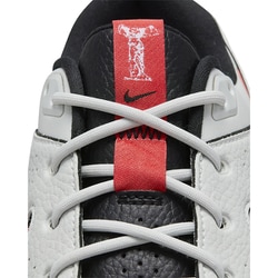 NIKE GOLF ナイキゴルフ DX9028-002 ゴルフシューズ ビクトリー プロ 3  グレー系 23.5 [240101461481] ゴルフウェア レディース ストスト ナイキ（NIKE）（メンズ）ゴルフシューズ ビクトリー プロ 3