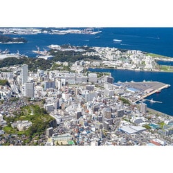 300-334 シリーズ・日本の都市 16 神奈川県横須賀市「空からみた横須賀中央」 [ジグソーパズル 300ピース]