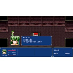 Amazon.co.jp: 幻世酔虎伝 プラス -Switch : ゲーム