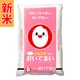精米 香川県産 おいでまい 5kg 令和7年産
