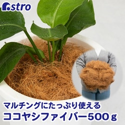 ココヤシファイバー 500g 624-04