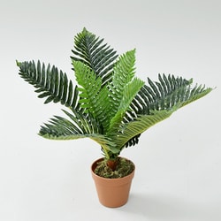 SIMPLANTS フェイクグリーン ヤシ 高さ50cm FG-ARECA50