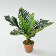 FG-ARECA50 [SIMPLANTS フェイクグリーン ヤシ 高さ50cm]