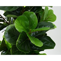 SIMPLANTS フェイクグリーン ウンベラータ 高さ130cm FG-UNBL130