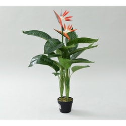 SIMPLANTS フェイクグリーン ストレリチア 高さ100cm FG-STLE100