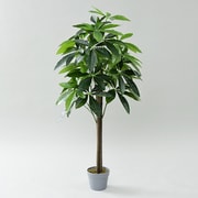 SIMPLANTS フェイクグリーン パキラ 高さ120cm FG-PACHI120