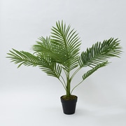 FG-ARECA75 [SIMPLANTS フェイクグリーン ヤシ 高さ75cm]
