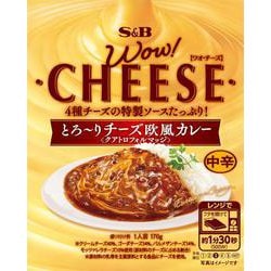 WOW！CHEESE とろ～りチーズ欧風カレー 中辛 170g