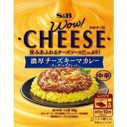 WOW！CHEESE 濃厚チーズキーマカレー 中辛 150g