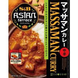 アジアンテラス マッサマンカレー 中辛 180g