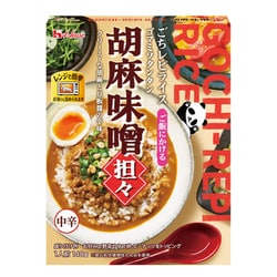 レトルトごちレピライス 胡麻味噌担々 140g