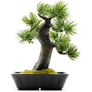 手作り小品盆栽 A-BONSAI Mini Moyogi 五葉松 高さ15cm