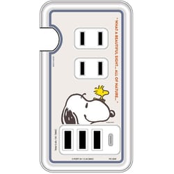 ピーナッツ USB/USB Type-C付 ACタップ フェイス SNGG-31A