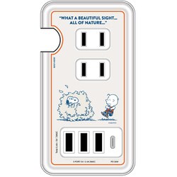 ピーナッツ USB/USB Type-C付 ACタップ チャーリー・ブラウン SNGG-31B