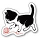 56810 [神保堂にゃんこ堂 ステッカー シール 猫 ネコ ねこ necoya（くりねこA）]