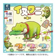 イヌワニ 1個 [コレクショントイ]
