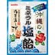 沖縄のミネラル塩飴 80g