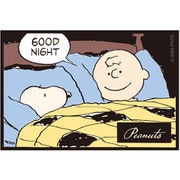 SN1794 キャラクターステッカー PEANUTS グッドナイト [キャラクターグッズ]