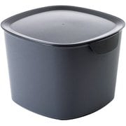 CE-666-201-5 [ティディ（Tidy） バケットコンテナー 取っ手付き収納 蓋付きバケツ グレー]