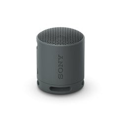 ワイヤレスポータブルスピーカー ブラック 海外仕様 SRS-XB100 BC E