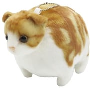 ふとっちぃ Zoo にゃんこ ミニ スコティッシュフォールド [ぬいぐるみ]