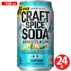 クラフトスパイスソーダ 6度 350ml×24缶 [スピリッツ]