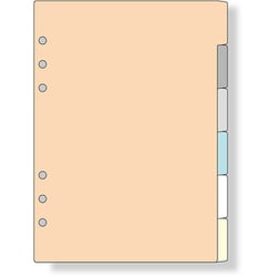 ダヴィンチ（Davinci） リフィル A5 カラーインデックス 6区分 DAR506