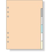 ダヴィンチ(Davinci) リフィル A5 カラーインデックス 6区分 DAR506