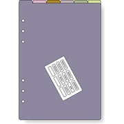 ダヴィンチ(Davinci) リフィル A5 カラーインデックス 6区分 DAR4602