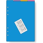 ダヴィンチ(Davinci) リフィル A5 カラーインデックス 4区分 DAR4520