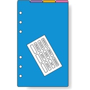 ダヴィンチ(Davinci) リフィル 聖書 カラーインデックス 4区分 DR4330