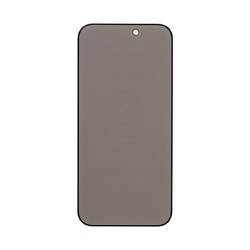 41-962466 [iFace ガラスプライバシー iPhone 15 Pro]