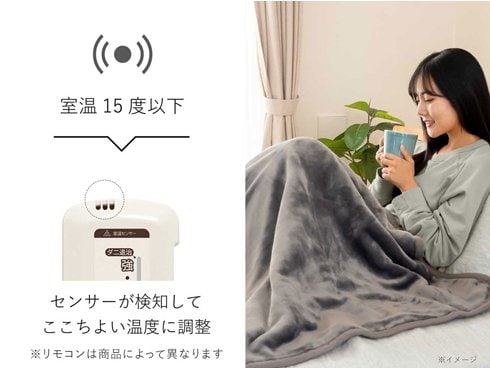 小泉 コイズミ 電気毛布 掛敷毛布 ラビットファー調 KDK-75231R Amazon | コイズミ 電気毛布 掛敷毛布 ラビットファー調 丸洗い