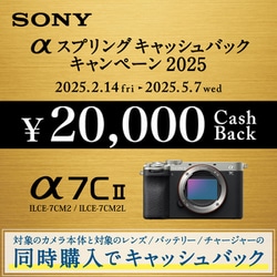 ヨドバシ.com - ソニー SONY α7C II ILCE-7CM2 S シルバー